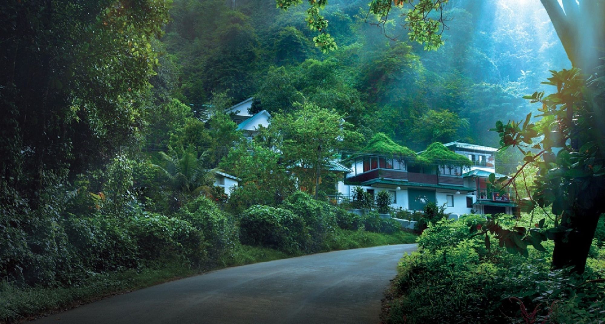 Bellavista Resort Munnar Εξωτερικό φωτογραφία