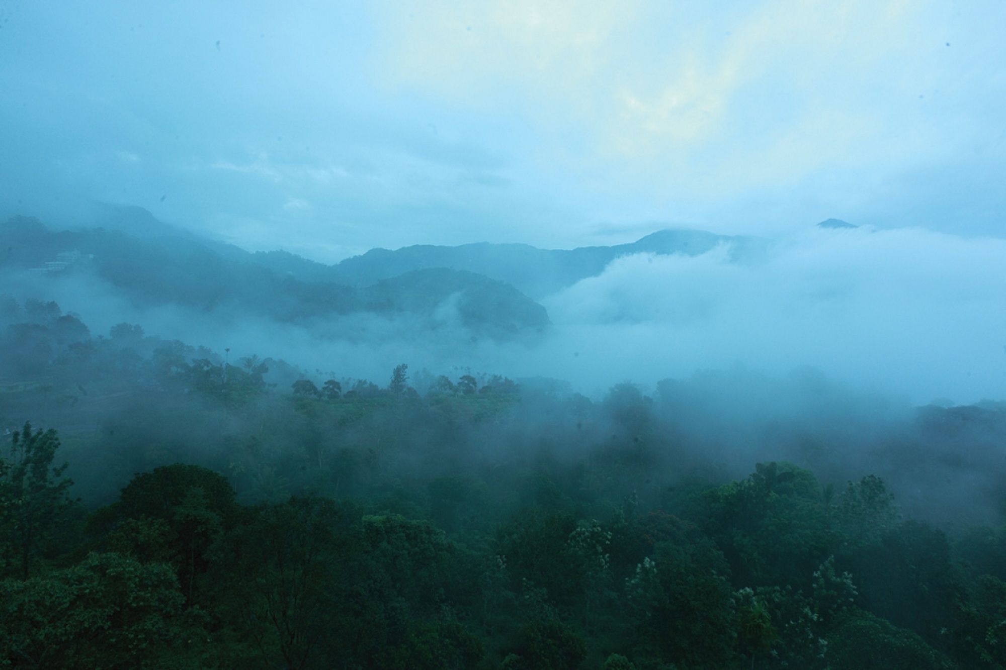 Bellavista Resort Munnar Εξωτερικό φωτογραφία