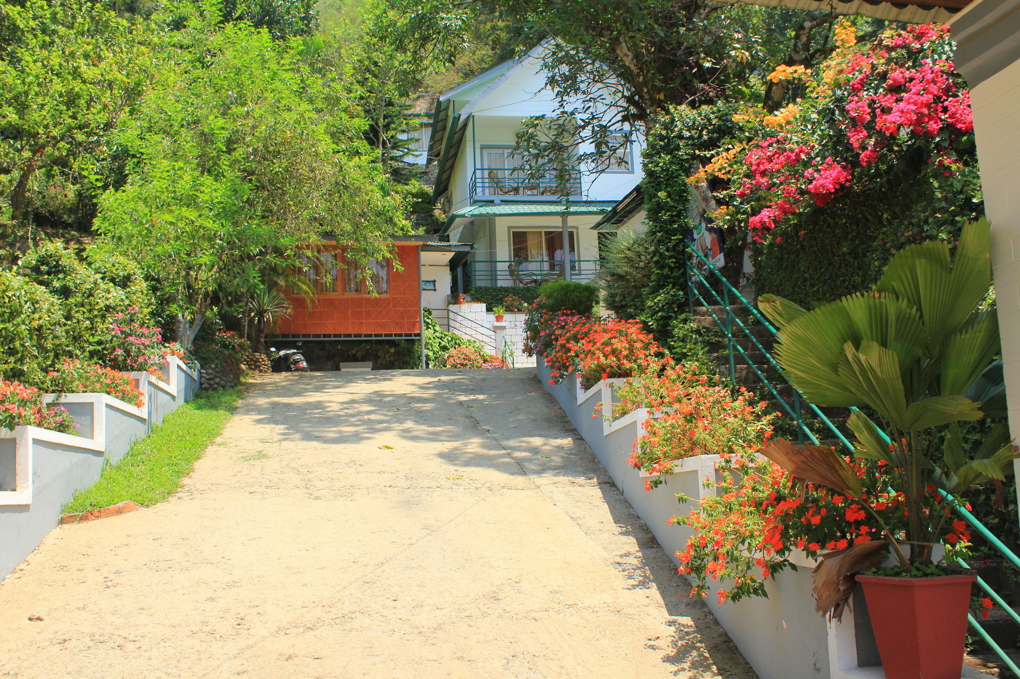 Bellavista Resort Munnar Εξωτερικό φωτογραφία